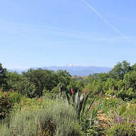 Bed & Breakfast Maison Millage Oloron-Sainte-Marie